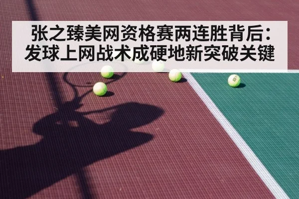 hard court tennis player